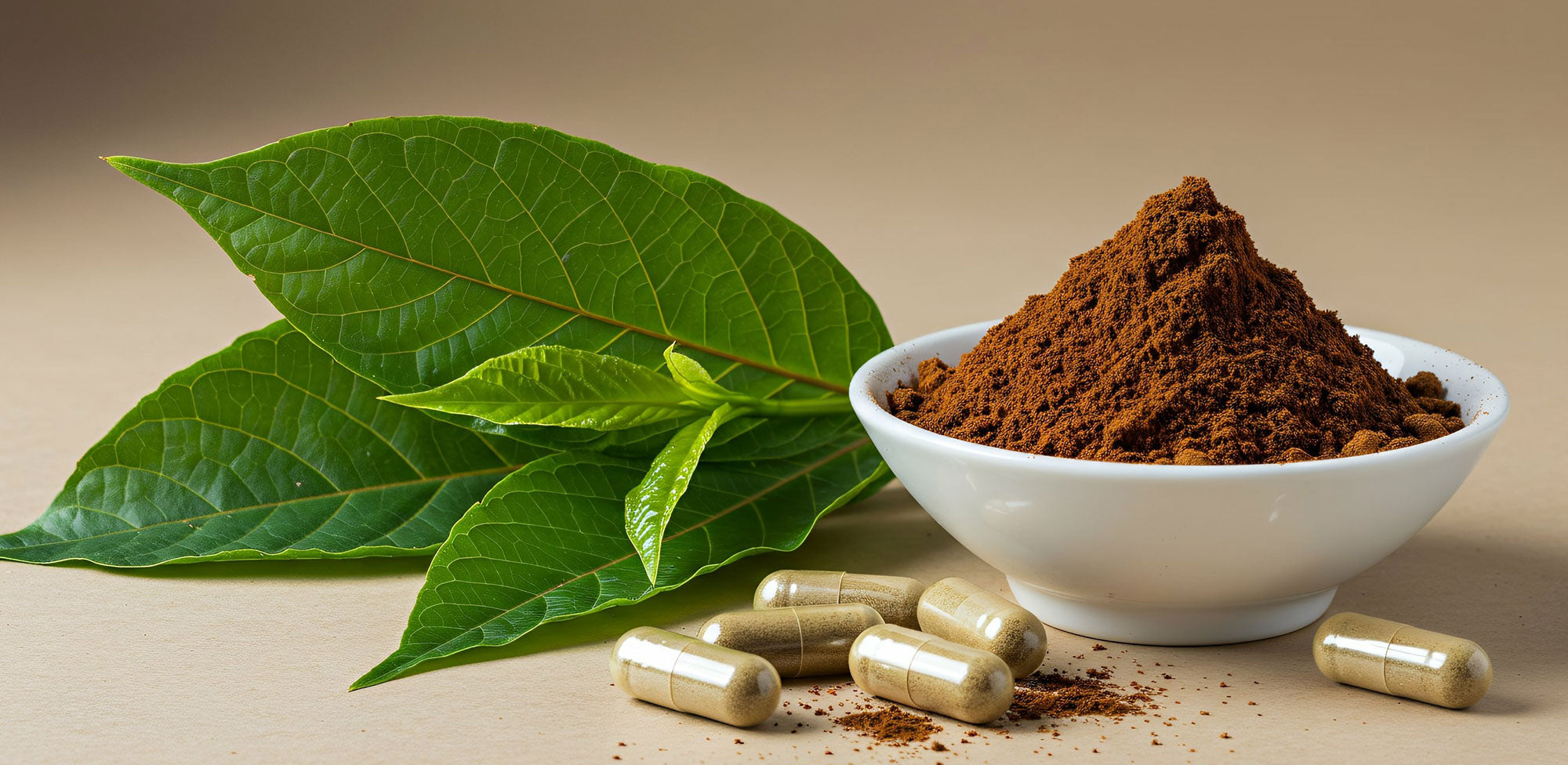 Exploring Kratom vs Coffee: Discover the Kratom and Coffee Botanical Family