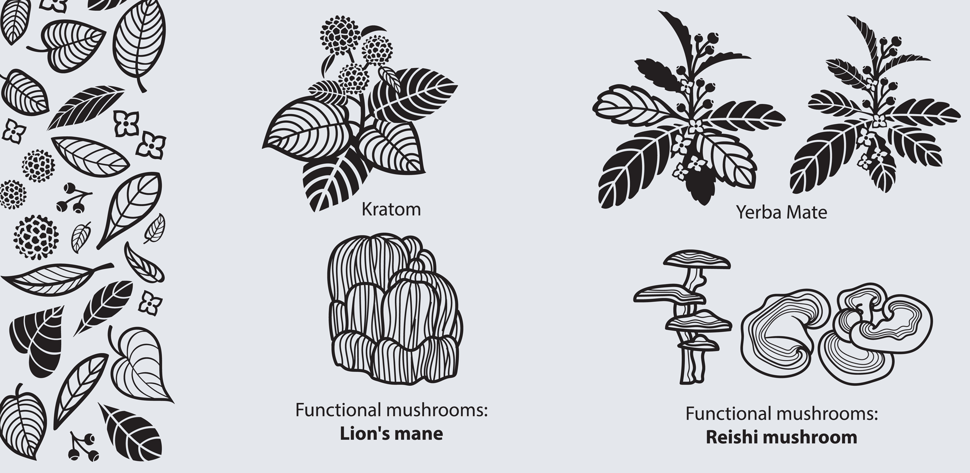 Are Mushrooms Legal in New Jersey? A Clear Look at Definitions, Categories, and Current Policy