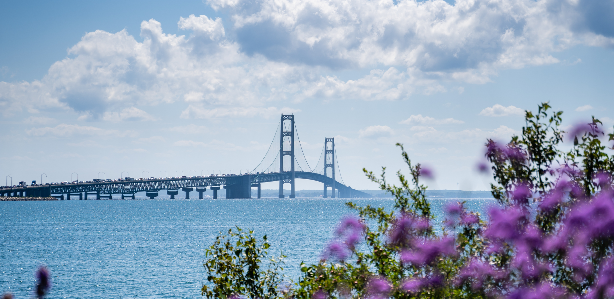 Michigan Kratom Legality 2025: What You Need to Know