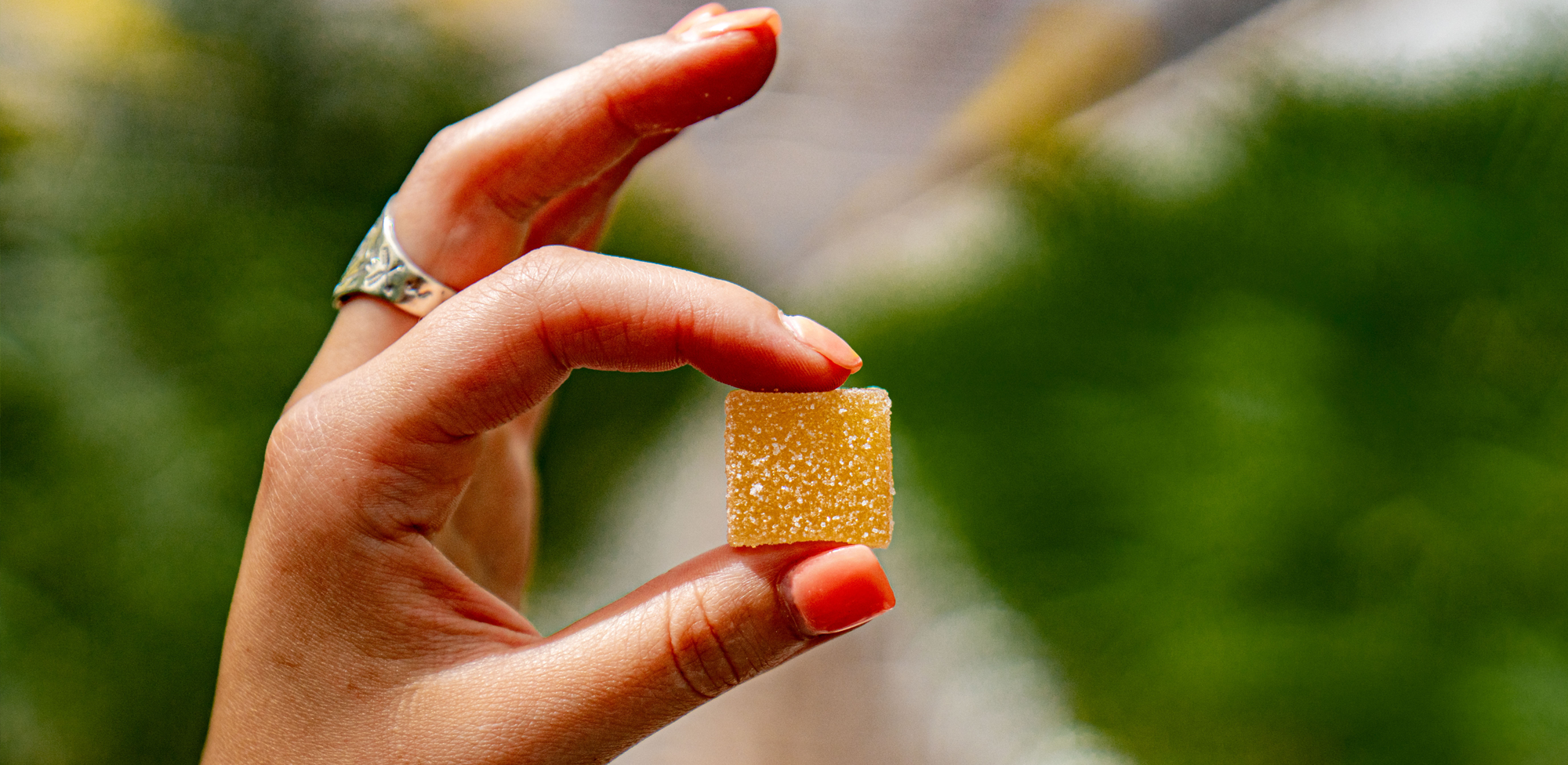 Where Can I Buy Microdose Mushroom Gummies? A Clear, Friendly Real Botanicals Guide