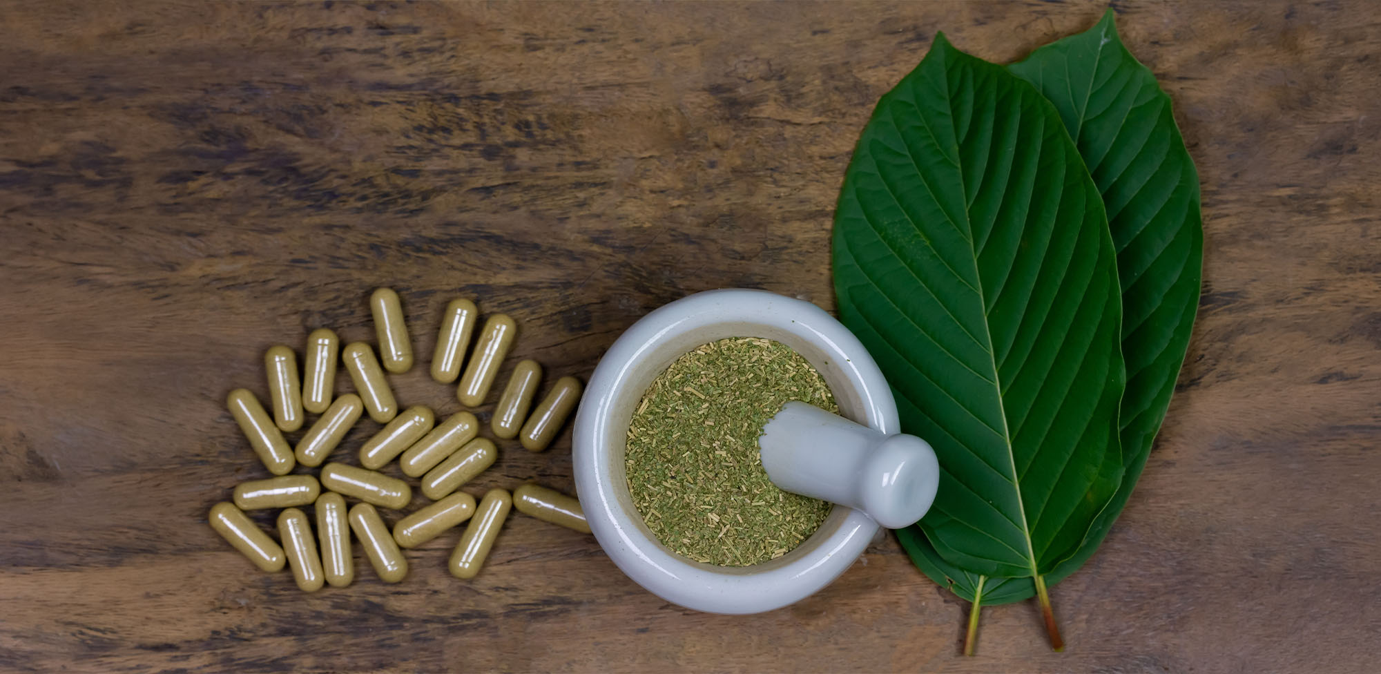 What is MIT in Kratom? A User Guide to Understanding Mitragynine