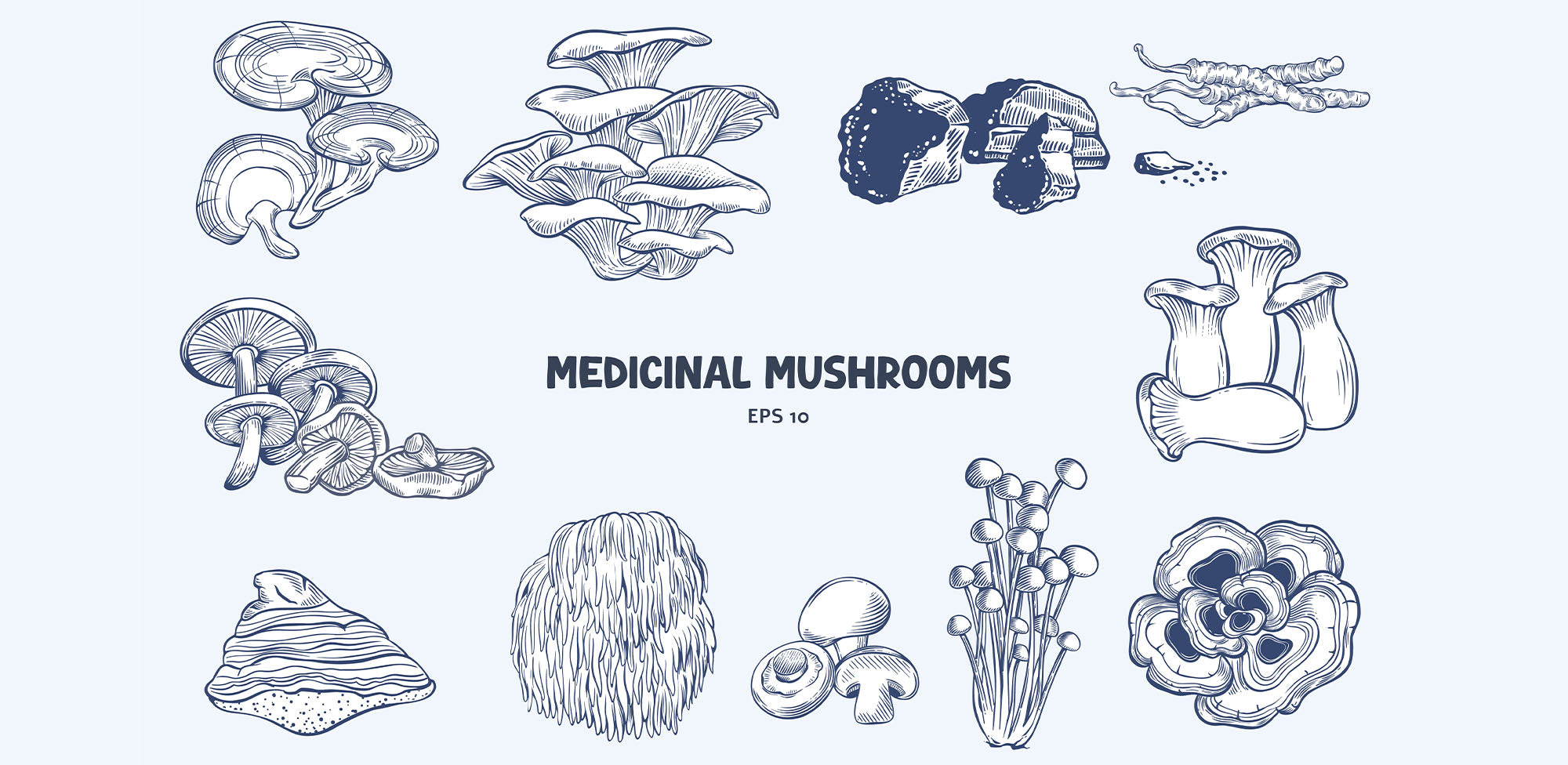 Real Mushrooms vs. Real Botanicals: Same Vibe, Different Product Universe