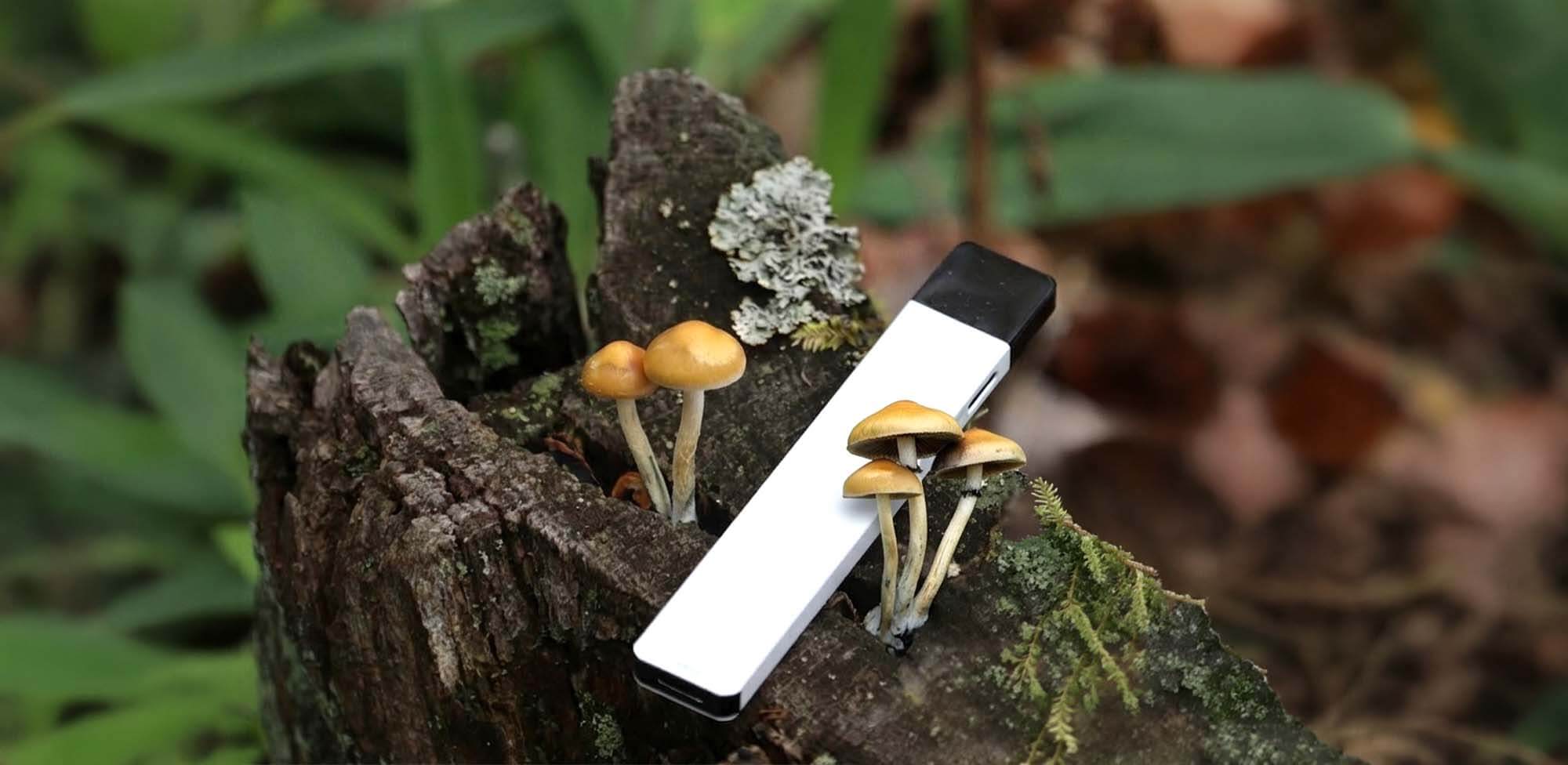 Mushroom Vape: Can You Smoke Mushrooms and Is It Safe? Mushroom Vape: Can You Smoke Mushrooms and Is It Safe?