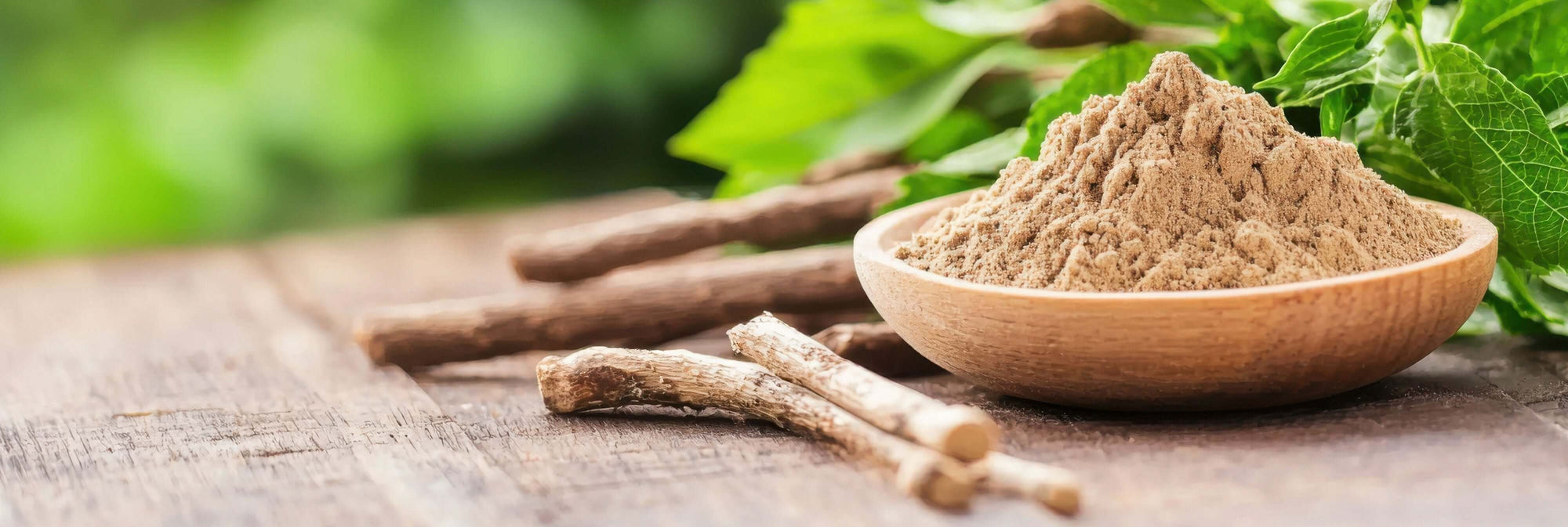 Kava vs Kratom: What’s the Real Difference?