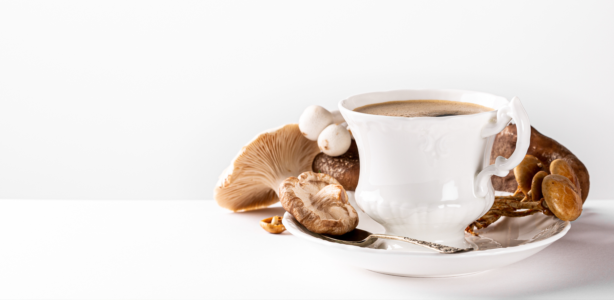 How Long Does a Mushroom Microdose Last?