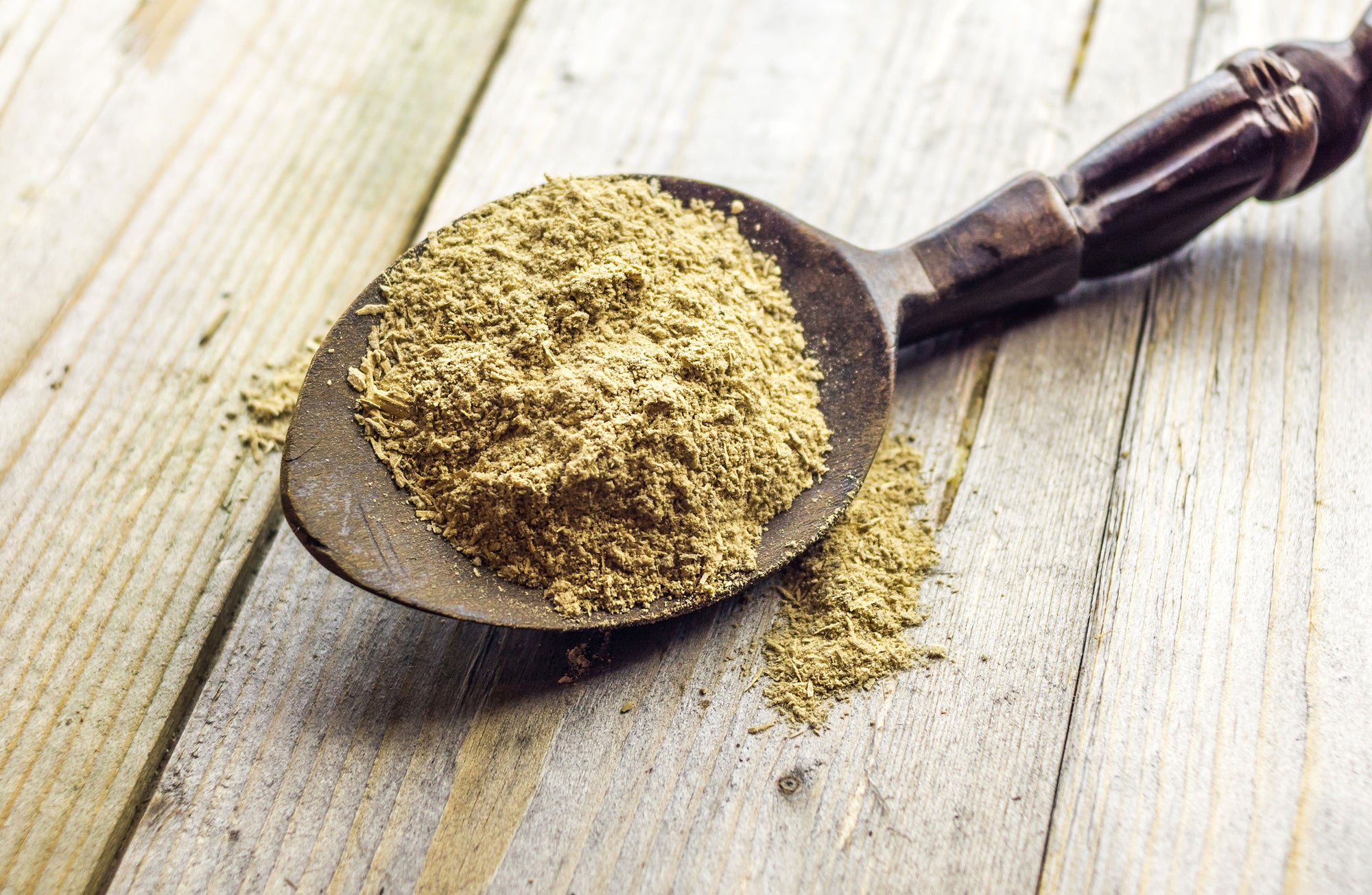 Speciogynine: The Lesser Known Kratom Alkaloid - Real Botanicals