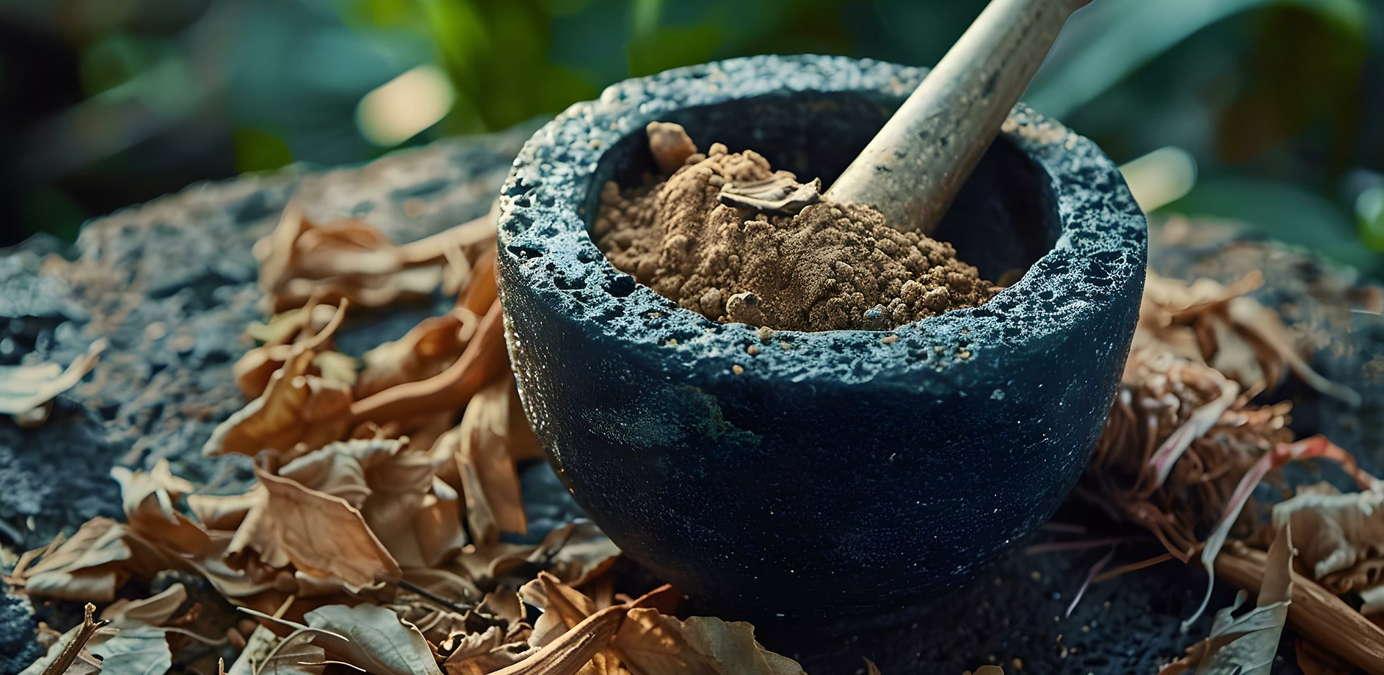 Comprehensive Guide to Kavalactones in Kava Kava: Effects, Use, Benefits, and Proper Dosage