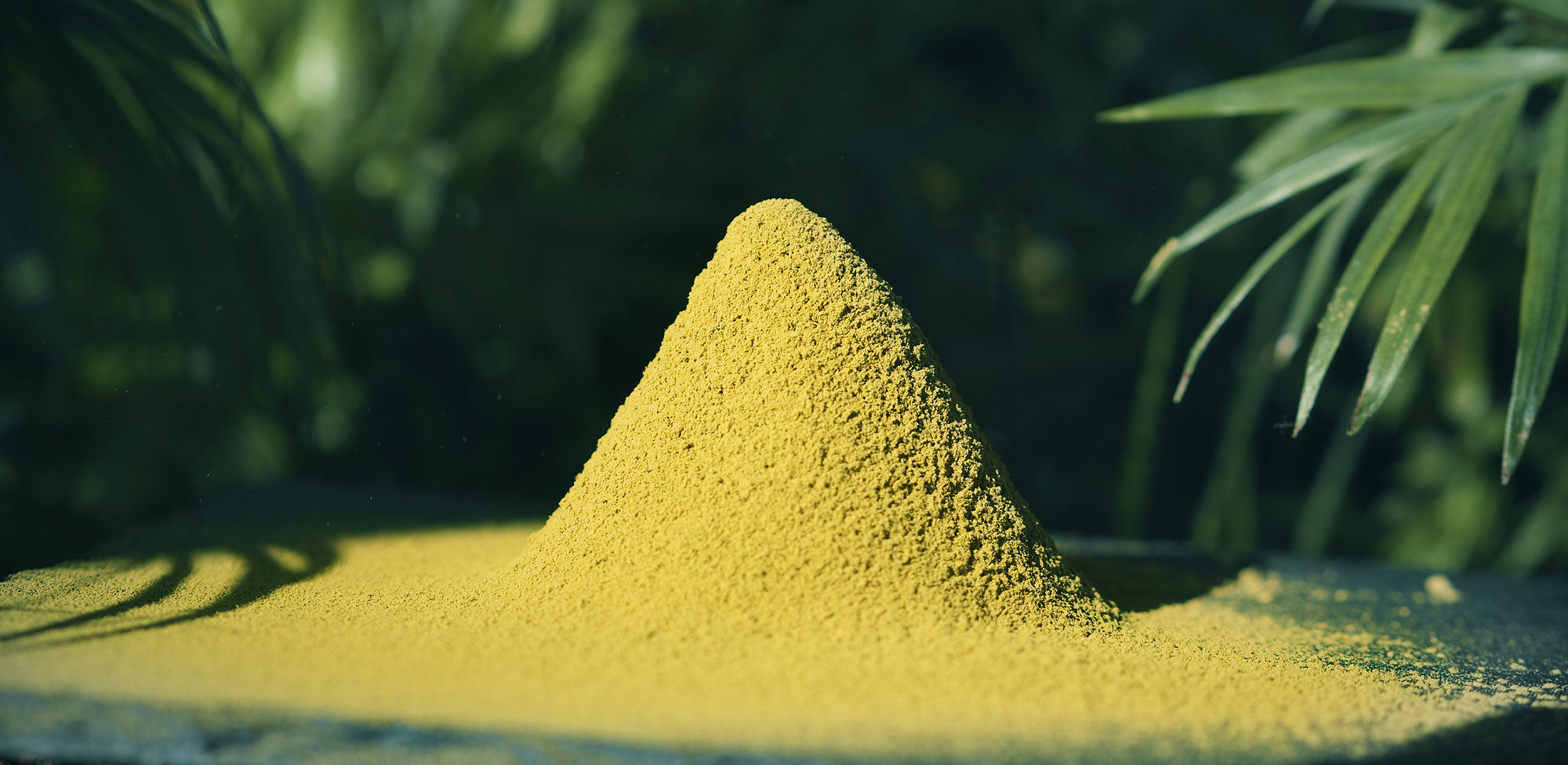 What Is Kratom Extract? Your Complete Kratom Comparison Guide