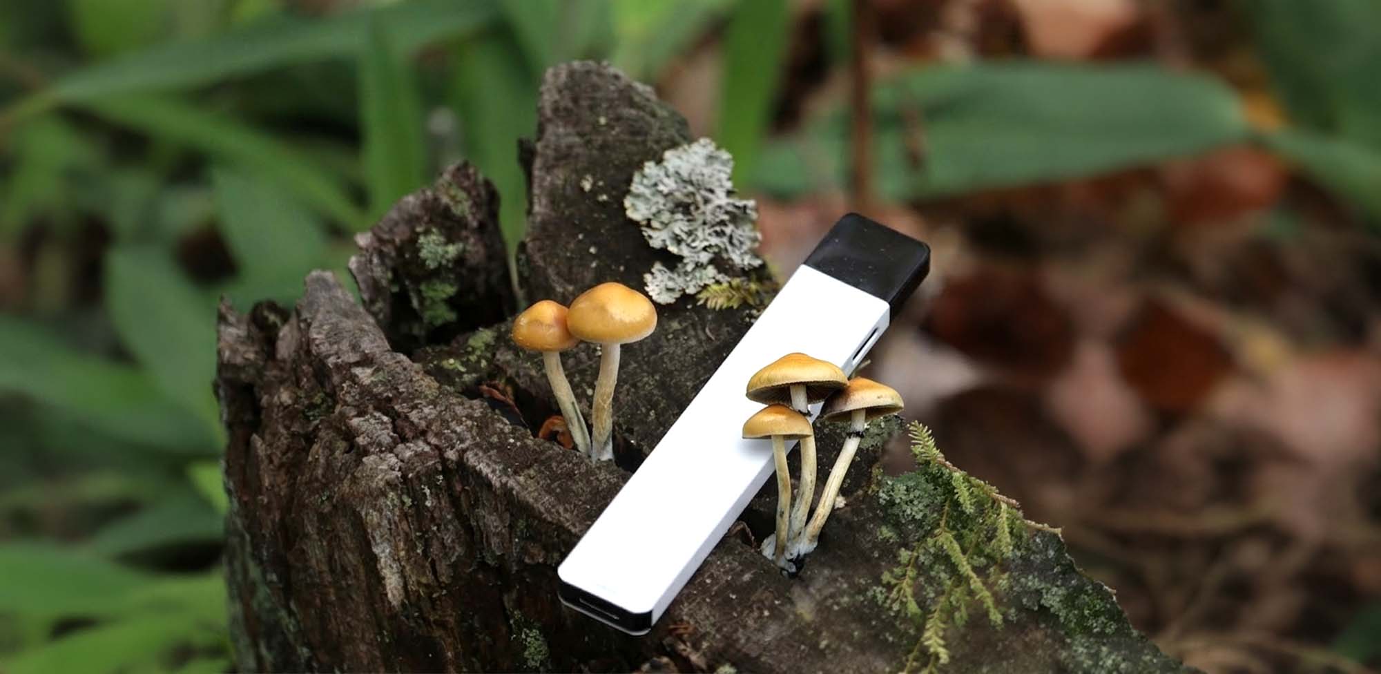 Mushroom Vape: Can You Smoke Mushrooms and Is It Safe?