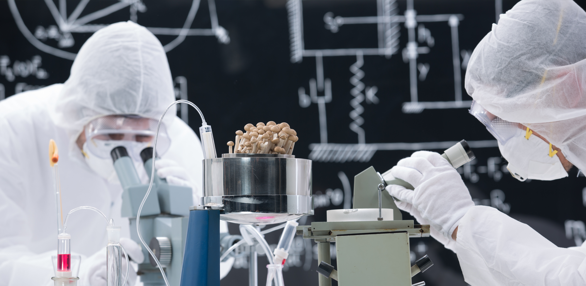 What Is 4-HO-MET? A Transparent Guide From Real Botanicals